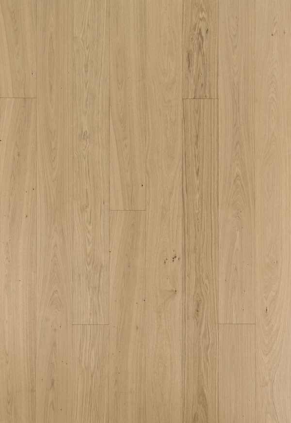 tammi_classic_snohetta_ha_ov 0003 tammi_classic_snohetta_ha_ov 0003