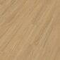 06895 laminate LD250 Perspektive-low