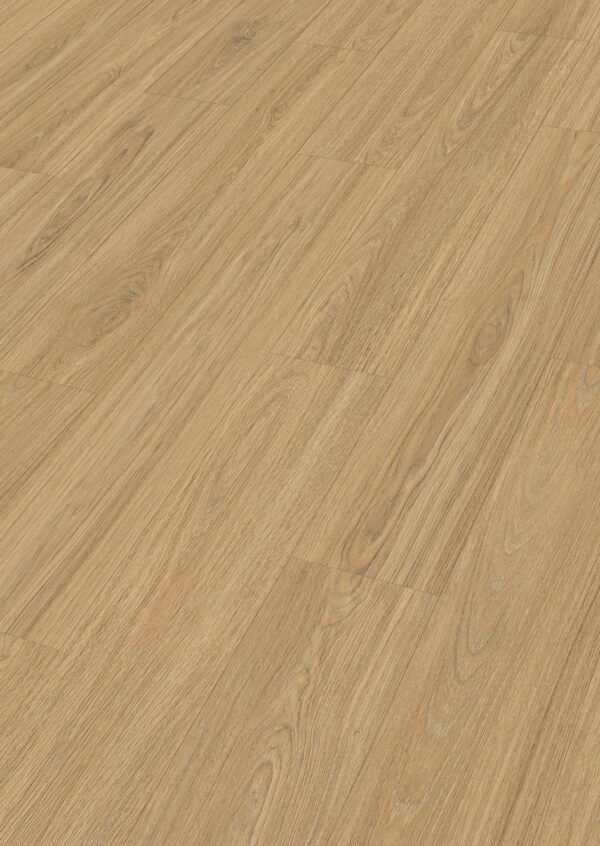 06895 laminate LD250 Perspektive-low 06895 laminate LD250 Perspektive-low