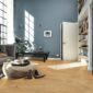07127 laminate LD250 Ambiente R01-low